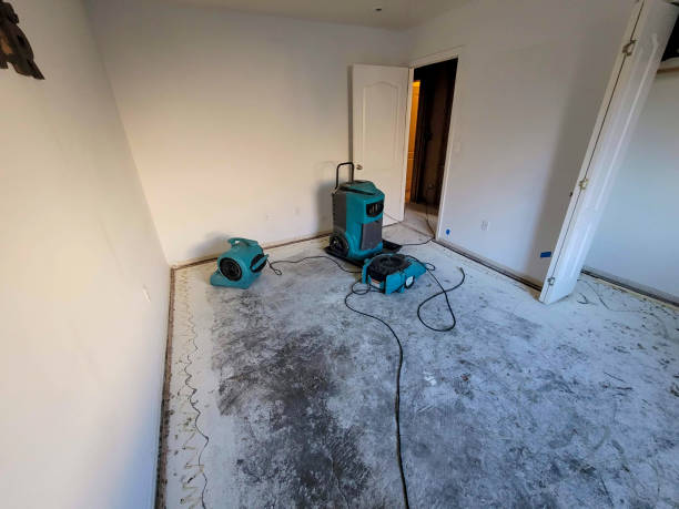 Best Ceiling water damage repair  in Mshall, AR