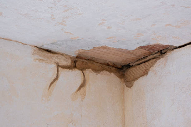  Mshall, AR Water damage restoration Pros