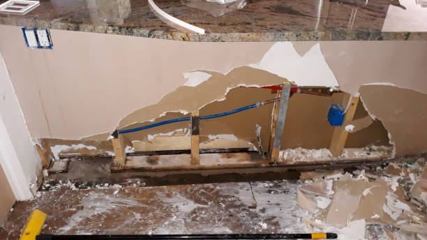 Best 24-hour water damage restoration  in Mshall, AR
