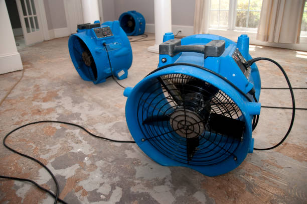 Best Professional water damage repair  in Mshall, AR