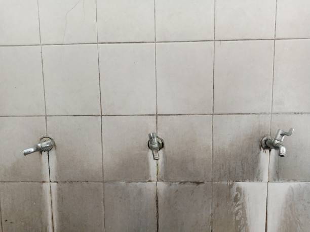 Best Water damage restoration cost  in Mshall, AR