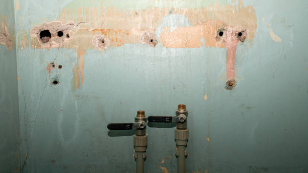 Best Water damage cleanup near me  in Mshall, AR