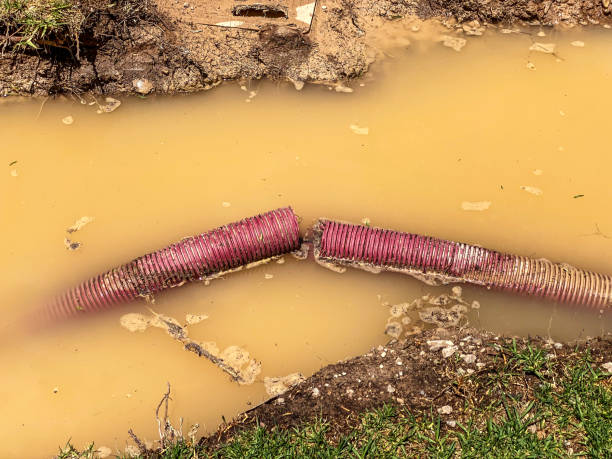 Best Sewage cleanup and water damage restoration  in Mshall, AR